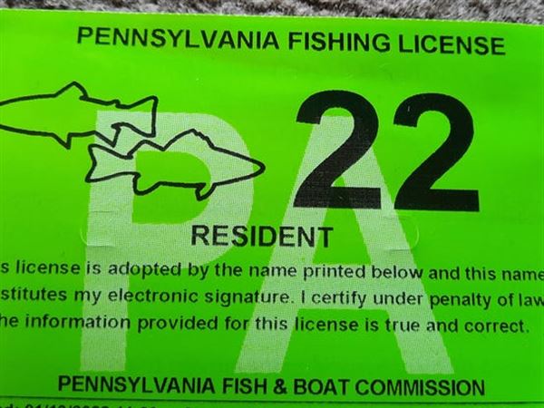 Permis De Pêche Résident Pennsylvanie 1958 - Document Vintage Collection