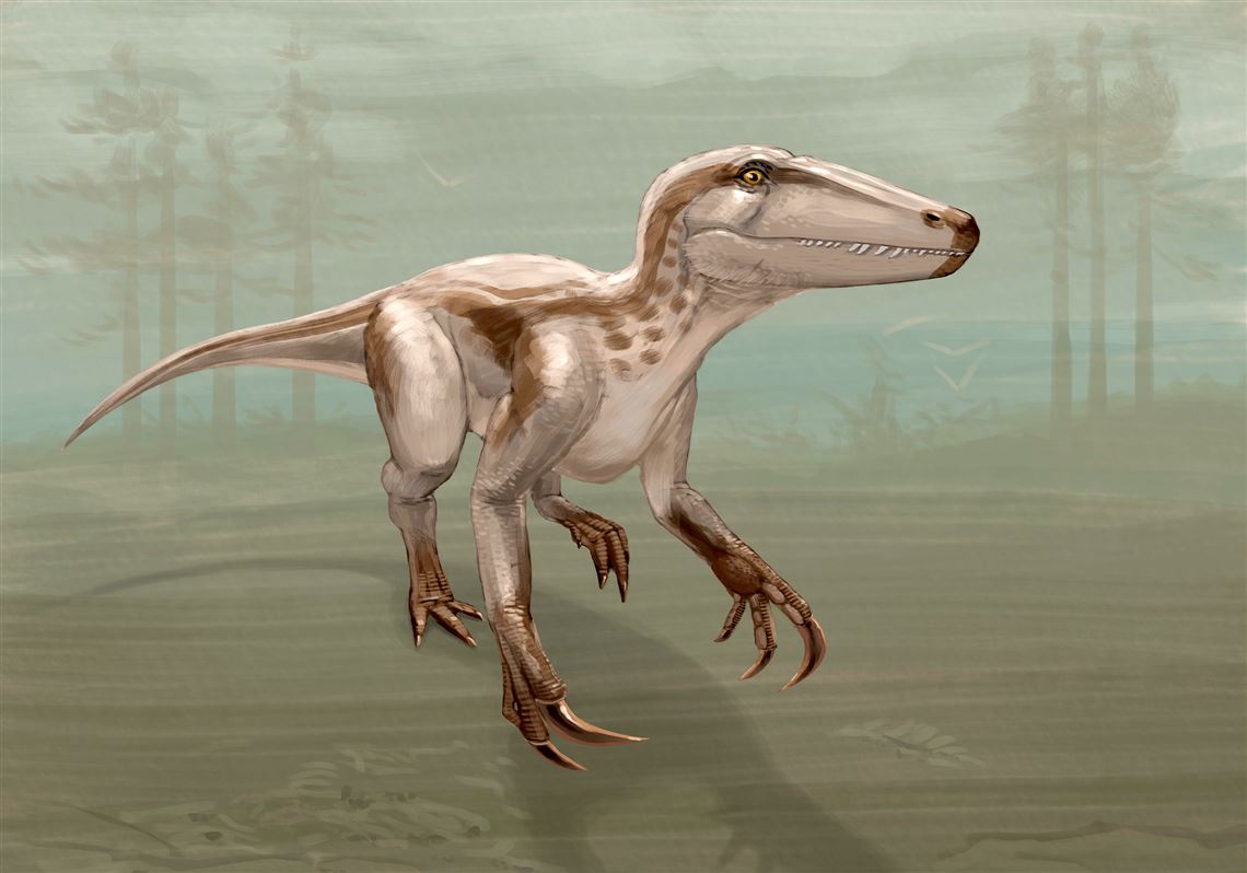 Carnegie Museum researchers help unearth new species of 'Freddy Krueger'  dinosaur in Patagonia | Pittsburgh Post-Gazette, image size:1140x798