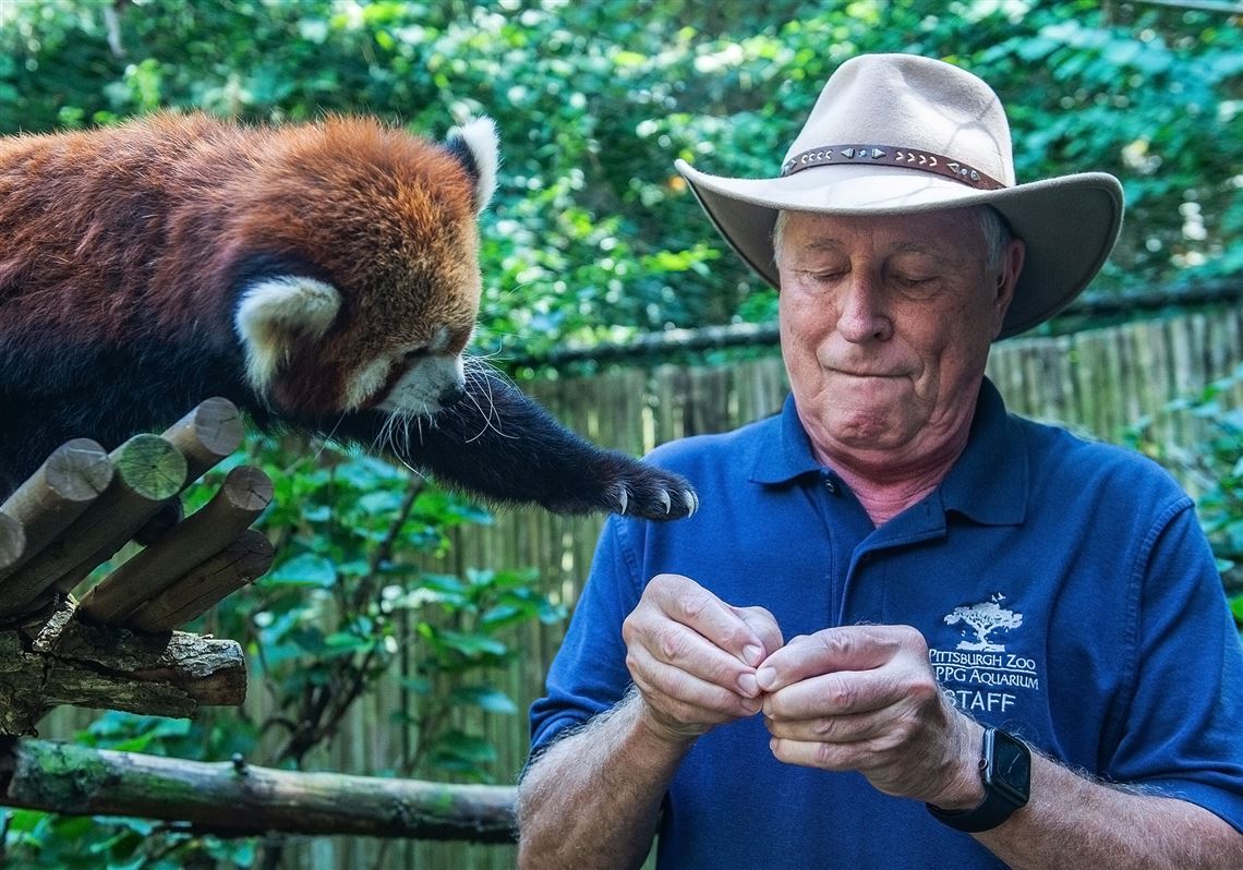 Catching snakes, shadowing the Crocodile Hunter and other adventures of a  Pittsburgh Zoo curator | Pittsburgh Post-Gazette, image size:1140x798