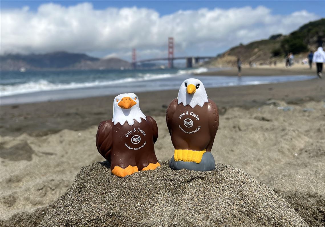 U.S. Steel bald eagles popping up at Stonehenge, South Pole and