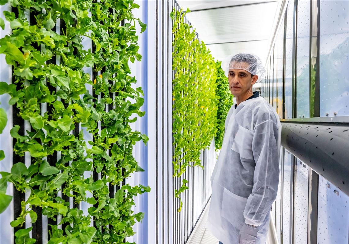 Hydroponic farming combines new tech and an old idea at