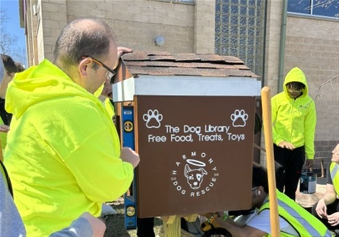 Dog Library Program Harmony Dog Rescue's new 'dog library' in Carrick opens new doors for ...