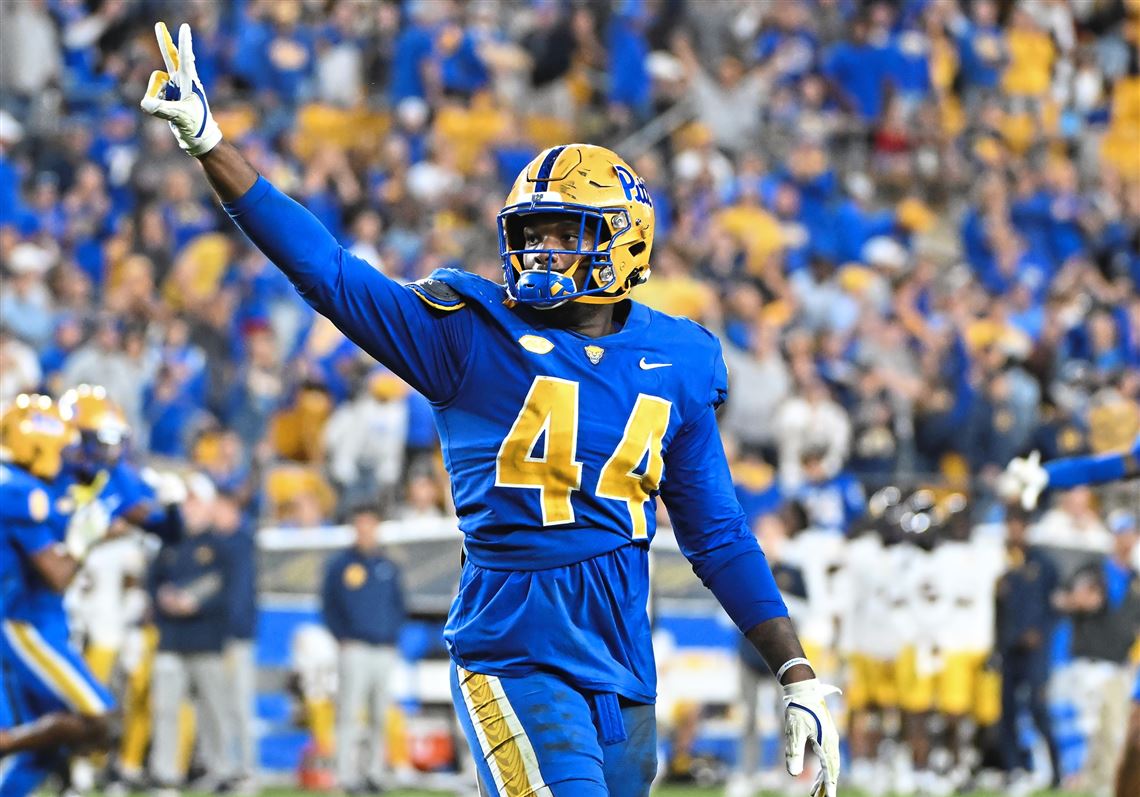 Pitt football preview: Defensive ends made progress last season