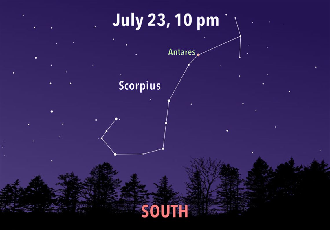 Stargazing: Discover the secrets of Scorpius | Pittsburgh Post-Gazette