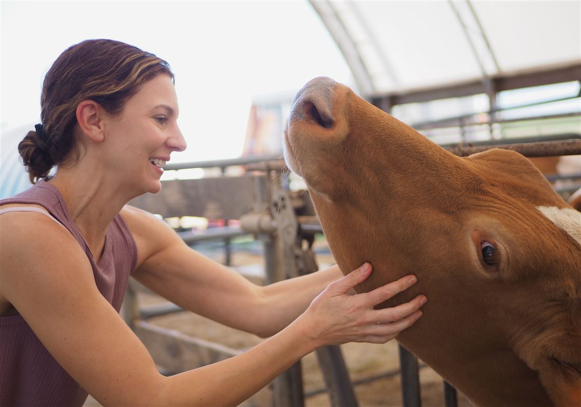Cream-top milk brings rich rewards to dairy-ice cream partnership