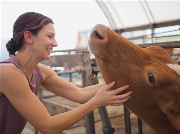 Cream-top milk brings rich rewards to dairy-ice cream partnership