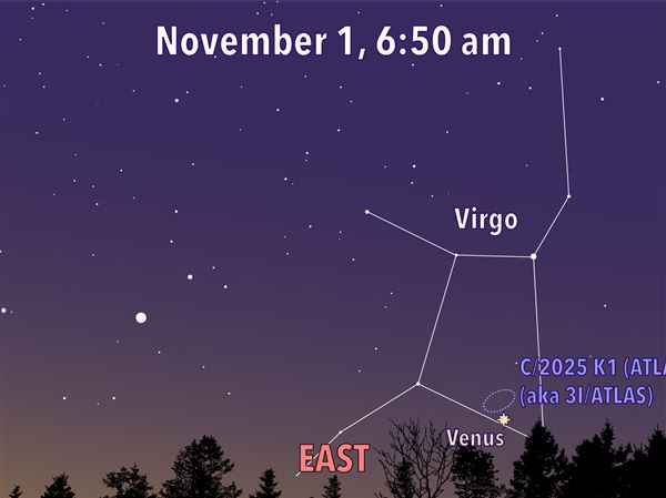 Stargazing: Ghostly cosmic visitor might arrive for Halloween