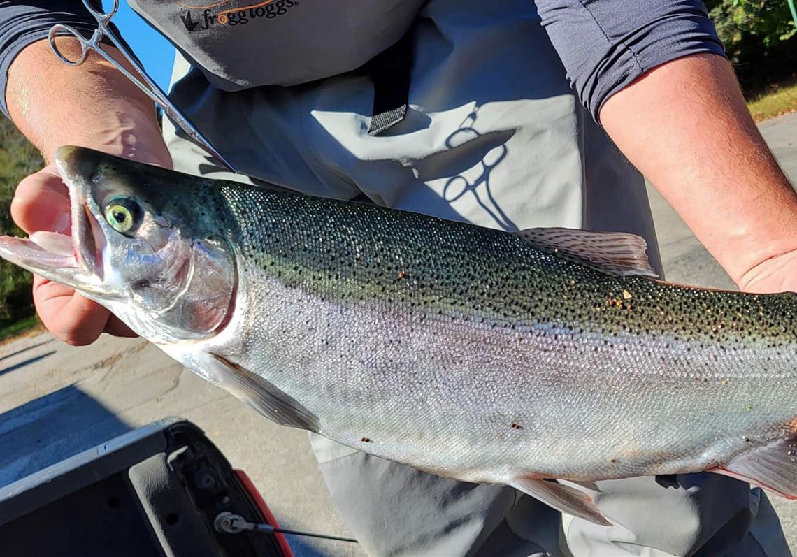 Memorial Lake State Park, image size:1140x797