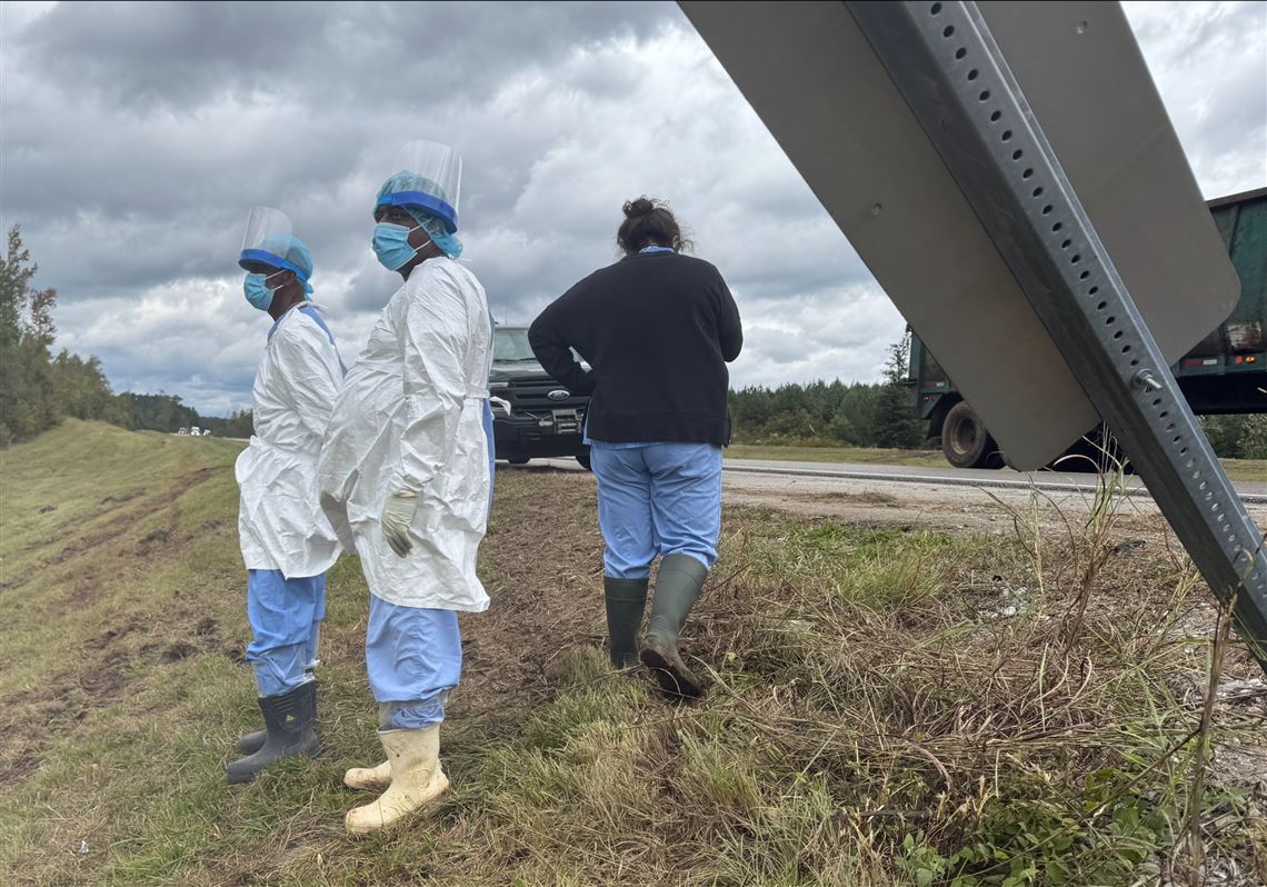 Gene Collier: Oh je, keine Tipps zum Autofahren