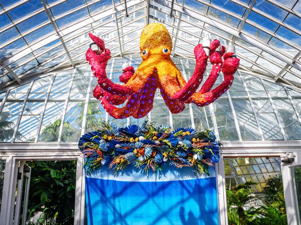 Reindeer, polar bears — even an octopus — make it a 'Wild Winter