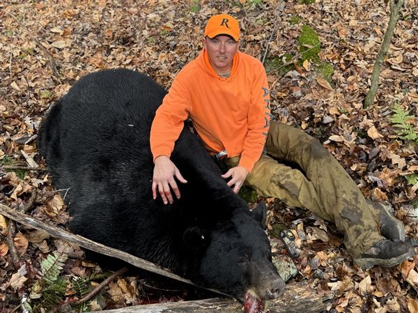 Beaver County hunter bags a 717-pound black bear in Moraine State