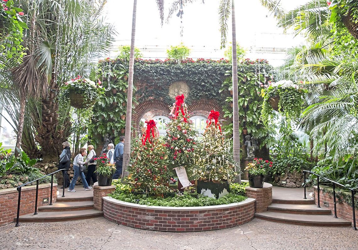 Abby McCloskey: A case for childlike wonder in a grown-up world