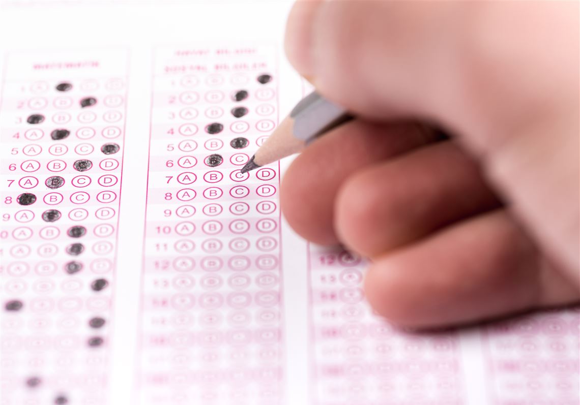Daniel Oppenheimer: Schools must teach AI, or let students fall behind