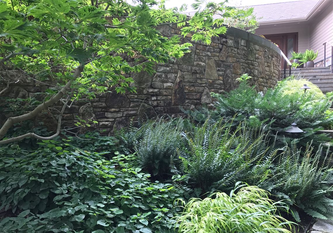 Enter the matrix: How to help your garden help you