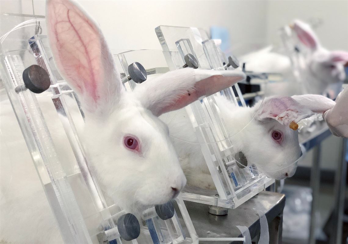 Kevin J. Morrison: I have ALS. I say, stop experimenting on animals