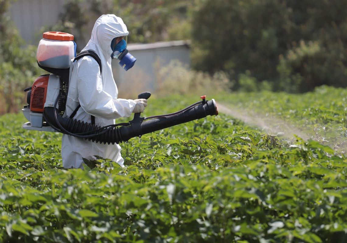 Amanda Claire Starbuck: The president’s health policies are bad for your health Amanda Claire Starbuck: The president’s health policies are bad for your health