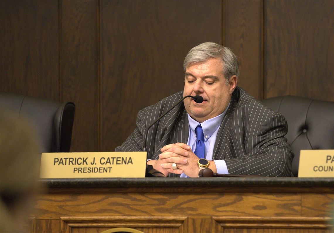Dems rebuke Catena campaign after trans attack in state House race