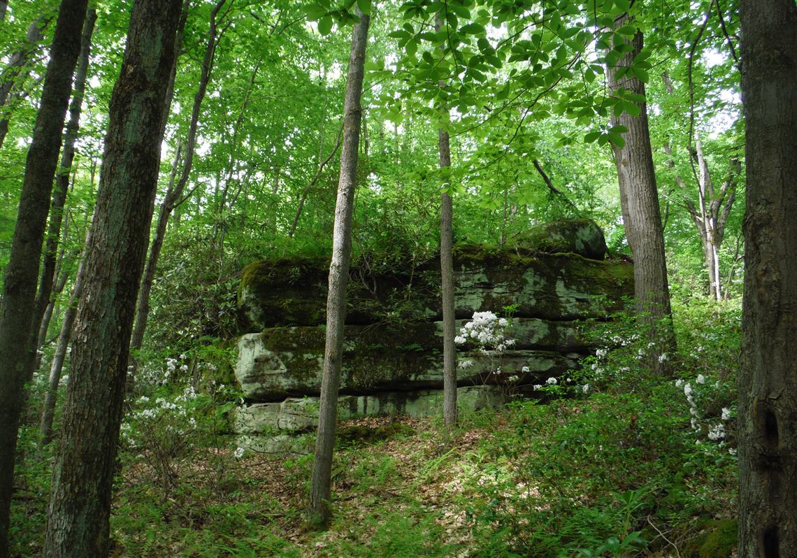 David M. Shribman: Conservatism meets conservation in a West Virginia ...