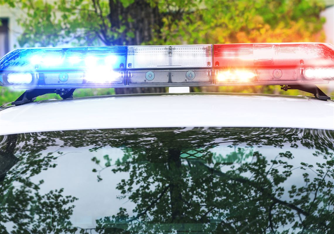 Heidelberg police chief found dead in patrol car | Pittsburgh Post-Gazette