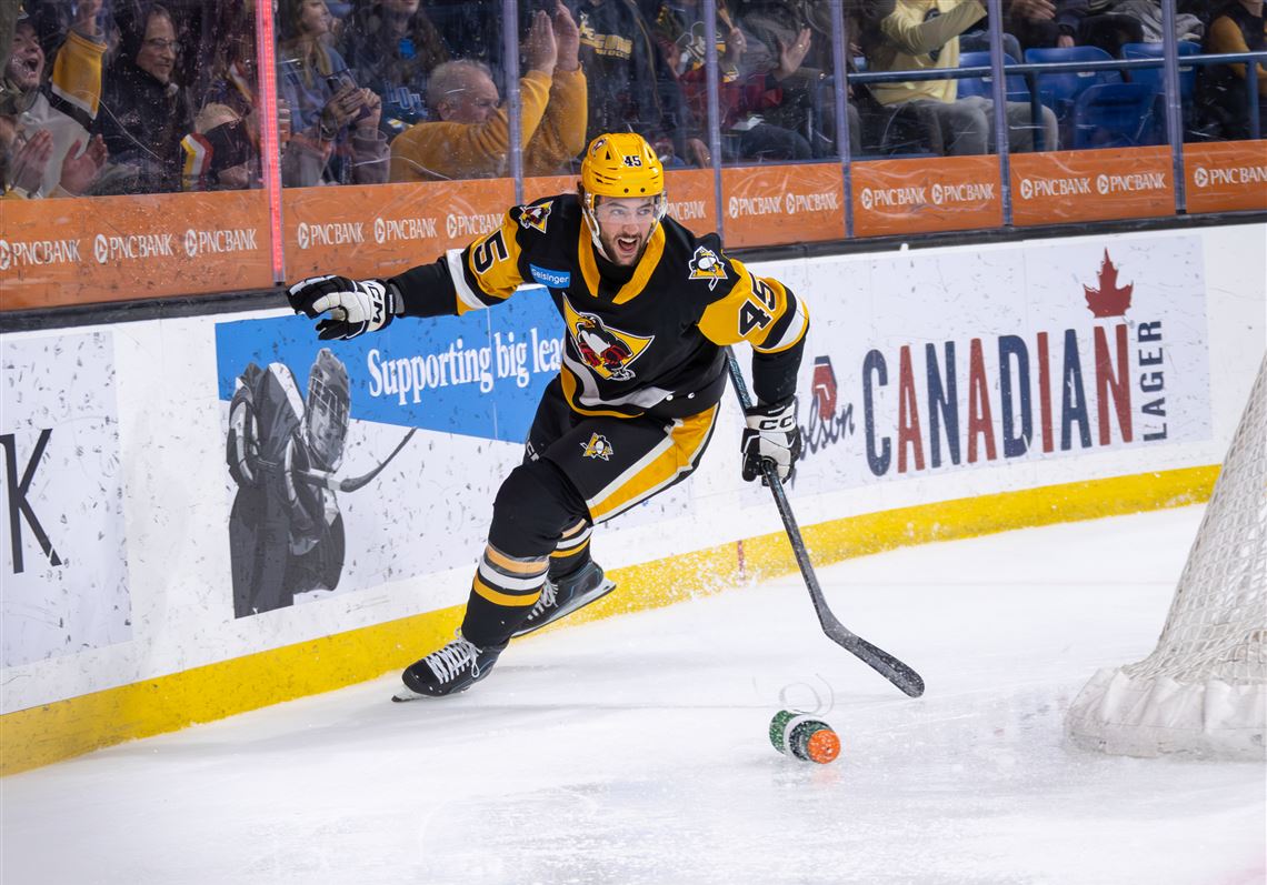 Harrison Brunicke’s season was hardly smooth, but the Penguins’ prospect ...