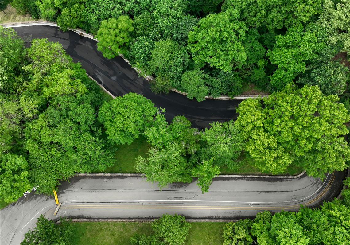 Letter to the editor: Serpentine Drive was always for cars