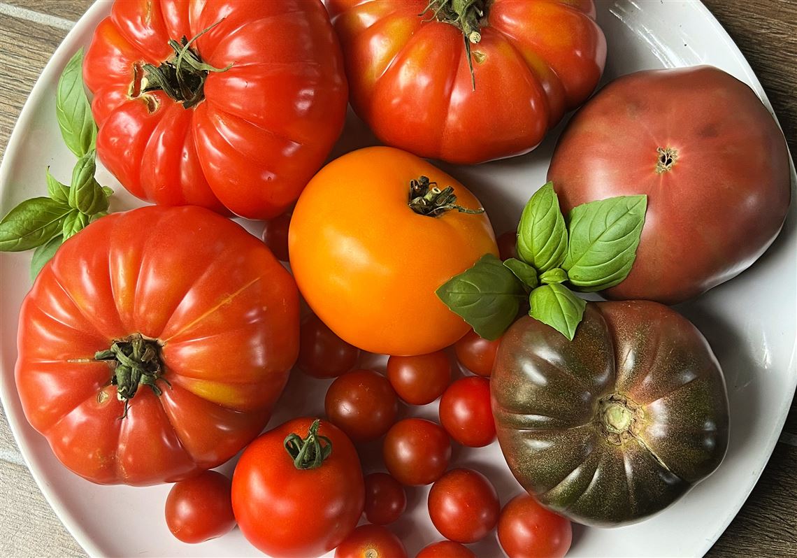 Homegrown tomatoes come in all sizes and colors. 