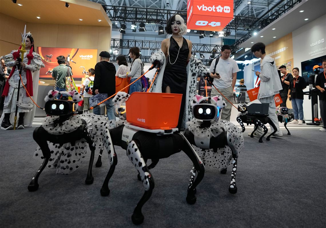 From robot dogs to helpers, China puts robotics ambitions on display at world conference