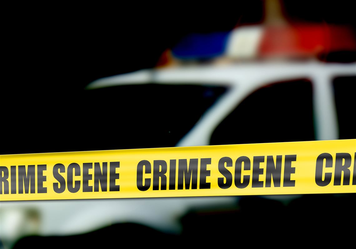 Police: Homewood man shot another man in front of his house, then went back to bed