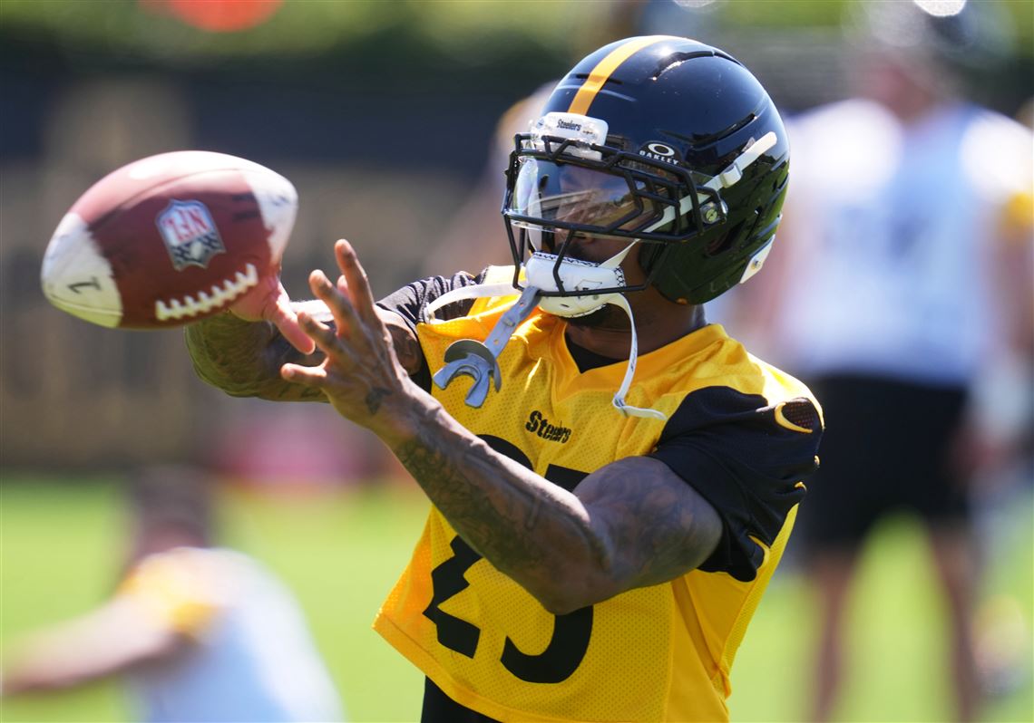 The Steelers rule out DeShon Elliott, list DK Metcalf as questionable for ...