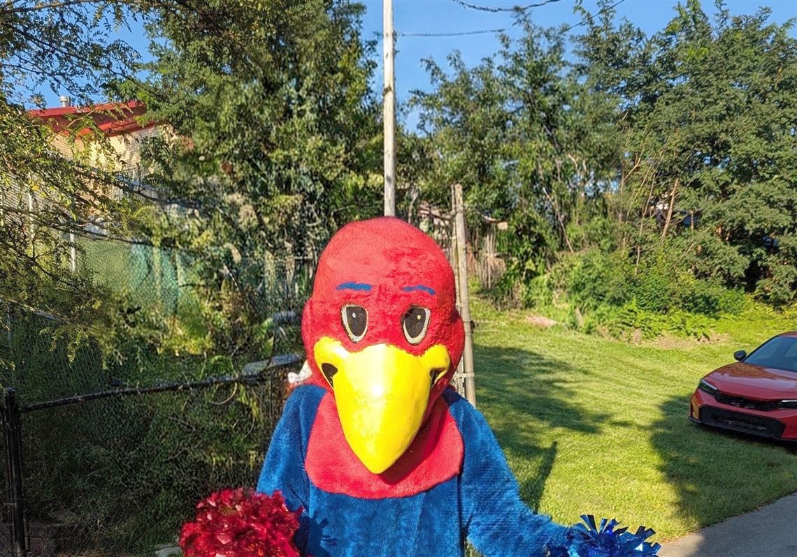 Goofy videos and a bracket: Western Pa. schools compete in national mascot contest